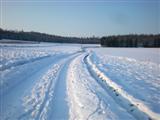 Lauf- und Walkingstrecken